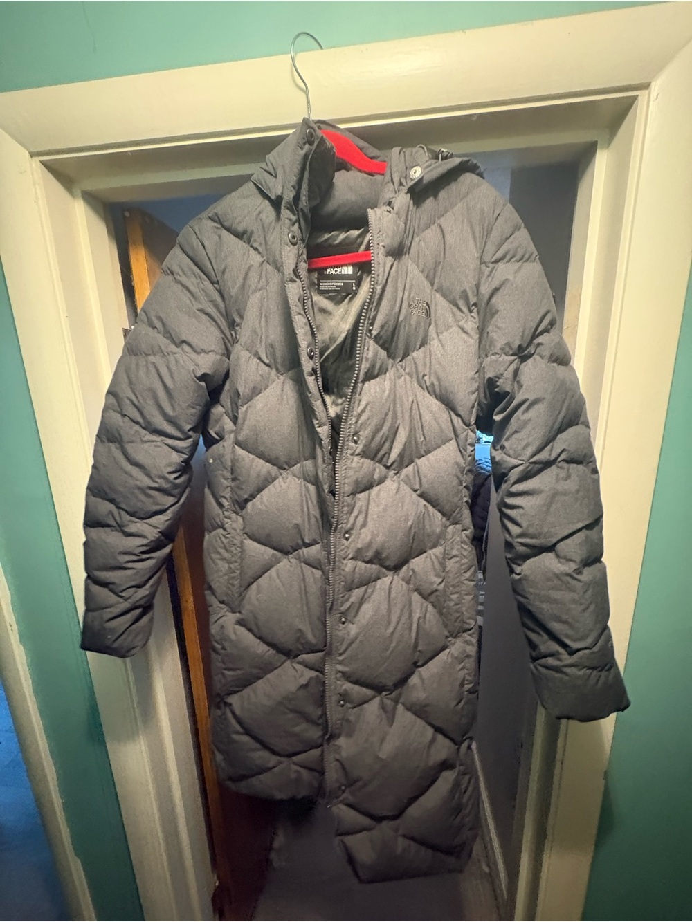 The North Face womens winter coat with hood
